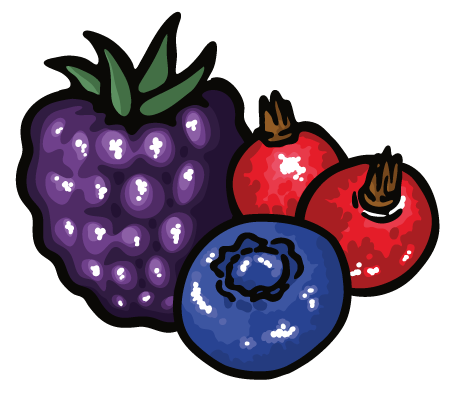 Brombeere, Blaubeere & Johanisbeere